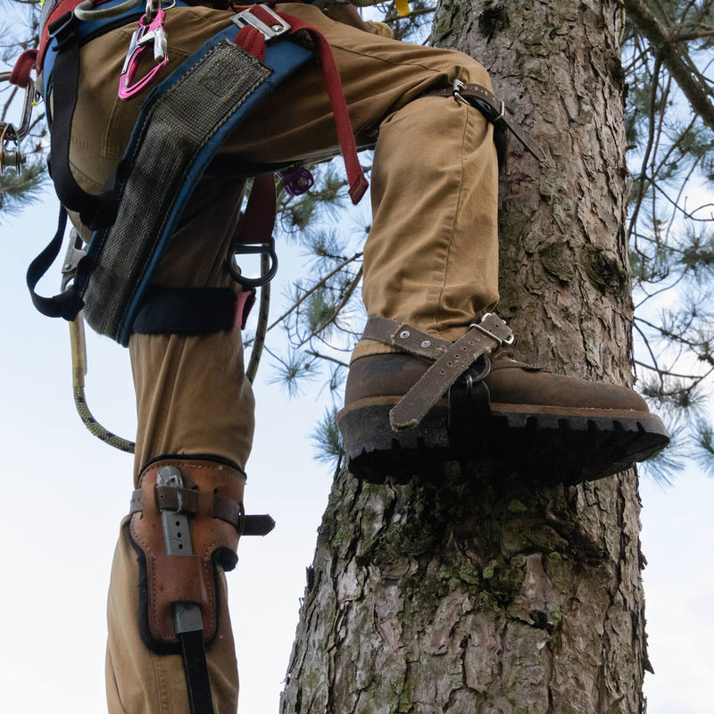 Thorogood Men's Logger Series 9" Waterproof Steel Toe Boots, 804-3555, Brown Stud Horse, view 11 of 11