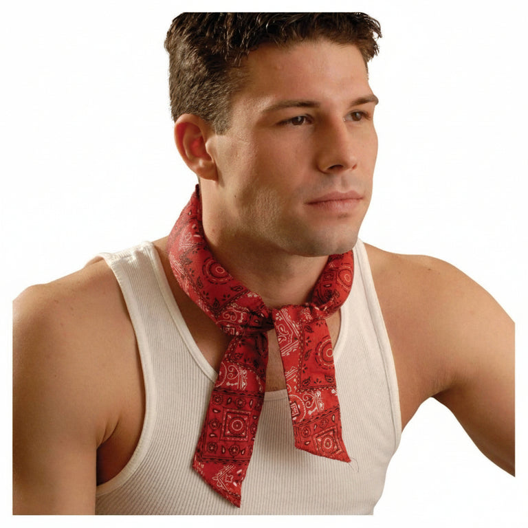 OccuNomix Miracool Crystal Bandana, 940