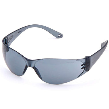 MSA Arctic Safety Glasses - Gray Lens - 697515