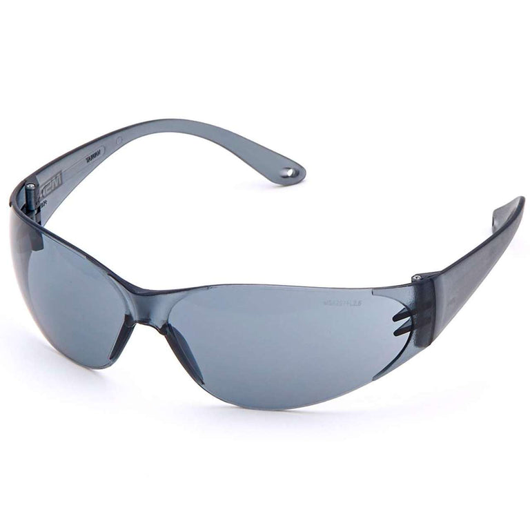 MSA Arctic Safety Glasses - Gray Lens - 697515