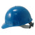 Variant: Blue