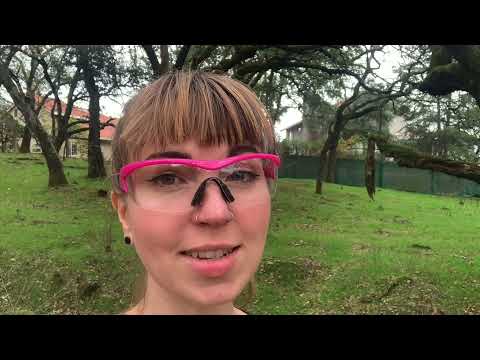 Safety Girl Navigator Safety Glasses